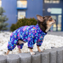 Кипити Waudog Clothes Дощовик "Рік та Морті 1" для собак