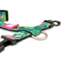 Кипити H-Harness Tropical Шлея для собак