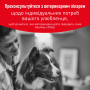 Купить Glycobalance Dog Сухой корм-диета для контроля уровня глюкозы при сахарном диабете у взрослых собак