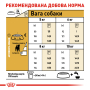 Кипити Jack Russell Terrier Adult - сухий корм для дорослих собак породи джек-рассел-тер'єр (від 10 місяців)