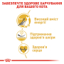 Кипити Sphynx Adult - сухий корм для котів породи сфінкс (від 12 місяців)