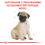 Купить Pug Puppy - сухой корм для щенков породы Мопс (до 10 месяцев)