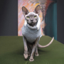 Кипити Светр «Cat» для кота, меланж