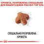 Кипити Jack Russell Terrier Adult - сухий корм для дорослих собак породи джек-рассел-тер'єр (від 10 місяців)