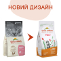 Купить Kitten with Fresh Chicken Сухой корм для котят со свежей курицей