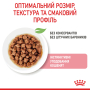 Кипити Kitten Sterilised wet in gravy Вологий корм для стерилізованих кошенят у віці від 6 до 12 місяців