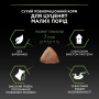 Кипити Puppy Small & Mini Healthy Start Сухий корм з куркою для цуценят малих і мініатюрних порід