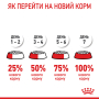 Кипити Kitten Gravy – вологий корм у соусі для кошенят на кожен день (до 12 місяців)