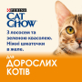 Купить Adult С лососем и зеленым горошком в желе для кошек