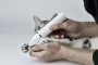 Купить Pet Trimmer Pro 2 in 1 Машинка для стрижки животных