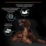 Купить Dog Adult Large Athletic Sensitive Digestion Lamb Сухой корм с ягненком для взрослых собак больших пород атлетического телосложения  с чувствительным пищеварением