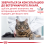 Купить Gastrointestinal Fibre Response Влажный корм для взрослых кошек при расстройствах пищеварения