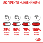 Купить Hair & Skin Care - сухой корм поддерживает эластичность кожи и красоту шерсти у кошек (от 12 месяцев)