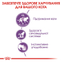 Купить Sterilised wet in jelly Влажный корм (кусочки в желе) для стерилизованных кошек