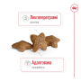 Кипити Mini Adult - сухий корм для дорослих собак дрібних розмірів (від 10 місяців)