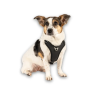 Кипити Smart ID Sport Harness Matrix 2.0 Black Шлея для собак