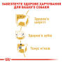 Кипити Poodle Adult - сухий корм для дорослих собак породи Пудель (від 10 місяців)