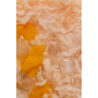 Купить Chicken Fillets rich in Shrimps in Jelly for Kittens Влажный корм из филе курицы и с креветками в желе для котят