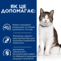 Купить PD Gastrointestinal Biome Stress Сухой корм для кошек при расстройствах пищеварения и для поддержания при действии стрессовых факторов