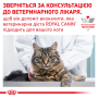 Купить Urinary S/O Feline Pouches morsels in gravy Диетический влажный корм для кошек при заболеваниях мочевыводящих путей