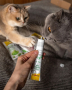 Кипити Gastro Intestinal Paste Паста для покращення травлення котів