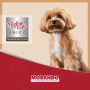 Купить Migliorcane UNICO Влажный корм для собак, паштет из прошутто