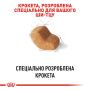 Купить Shih Tzu Adult - сухой корм для собак породы ши-тцу (от 10 месяцев)