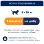 Купить Dental Sticks - жевательные палочки для взрослых собак малых пород (чистка зубов)