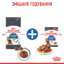 Кипити Light Weight Care - сухий корм для дорослих котів схильних до набору зайвої ваги