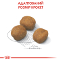 Купить Giant Puppy - сухой корм для щенков гигантских пород (от 2 до 8 месяцев)