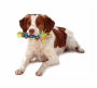 Купить Cool Teething Stick Игрушка с эффектом охлаждения для собак