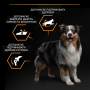 Купить Dog Adult Medium Everyday Nutrion Сухой корм с курицей для взрослых собак средних пород