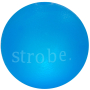 Купить Strobe Ball – игрушка для собак