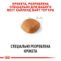 Кипити West Highland White Terrier Adult - сухий корм для дорослих собак порід Вест-хайленд-уайт-тер'єр (від 10 місяців)