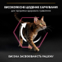 Кипити Cat Adult Delicate Digestion Lamb Сухий корм для дорослих котів з чутливим травленням та вибагливих до їжі з ягням
