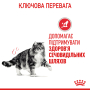 Купить Urinary Care - сухой корм для поддержания здоровья мочевыделительной системы у кошек (от 12 месяцев)