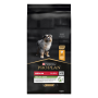 Кипити Puppy Medium Healthy Start Сухий корм з куркою для цуценят середніх порід