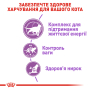 Купить Sterilised 7+ - сухой корм для стерилизованных котов (от 7 до 12 лет)
