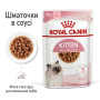 Кипити Kitten Gravy – вологий корм у соусі для кошенят на кожен день (до 12 місяців)