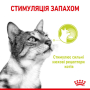 Кипити Sensory Smell - вологий корм у соусі для стимуляції нюху у дорослих котів