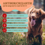 Купить Antioxidant Berry Granules Витаминная добавка для собак, смесь ягод антиоксидантов
