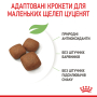 Кипити Giant Junior - сухий корм для цуценят дуже великих порід (від 8 місяців)