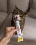 Кипити Senior Paste Паста для підтримки здоров'я котів, віком від 7 років
