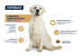Купить Dog Labrador & Golden Retriever Сухой корм для лабрадоров и Голден ретриверов с курицей