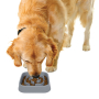 Купить Slow Maze Feeder Silicone 6 cup Миска квадратная для медленного кормления 1,44 л, светло-серая