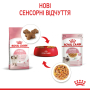 Купить Kitten Jelly - влажный корм в желе для котят на каждый день (до 12 месяцев)