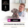 Кипити Veterinary Diets UR Urinary Лікувальний сухий корм при хворобі сечовивідної системи у дорослих собак
