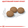 Купить Ageing Sterilised 12+ - сухой корм для зрелых стерилизованных котов (от 12 лет)