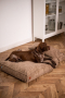Кипити Memory Foam Cacao Лежак для собак