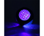 Купить GrizZzly LED Игрушка для собак, мяч